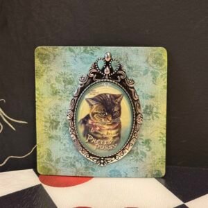 Silver Pretty Pussy Brooch